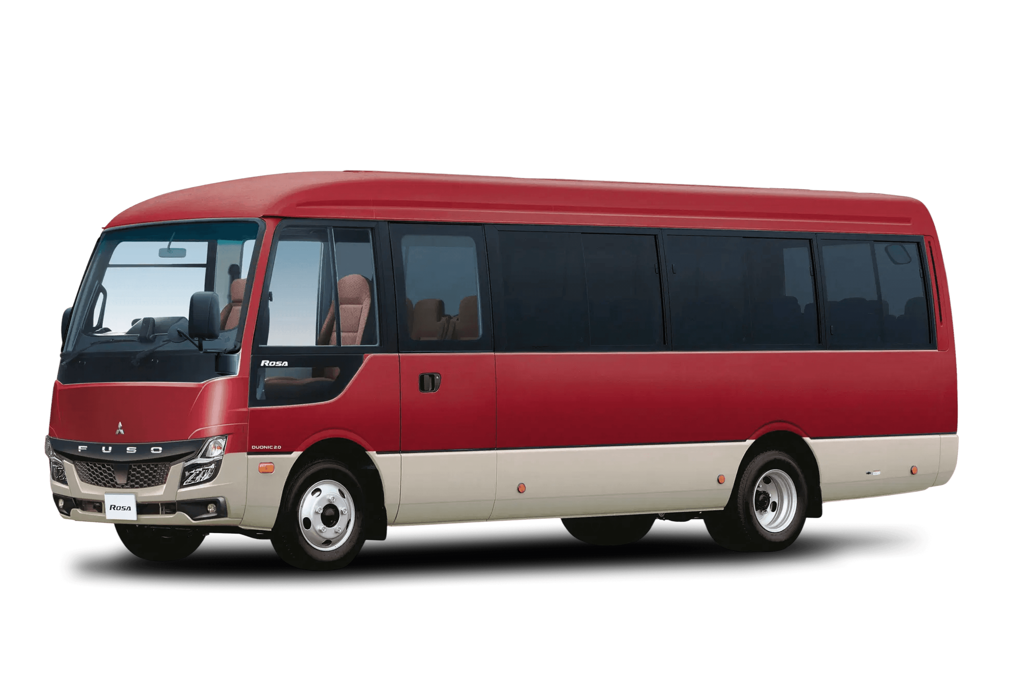 ROSA BUS